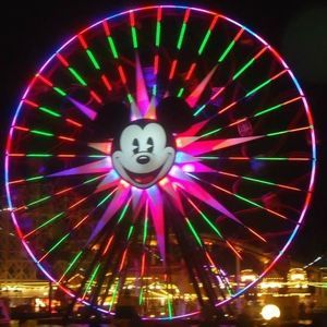 Meet your Posher, Jodi